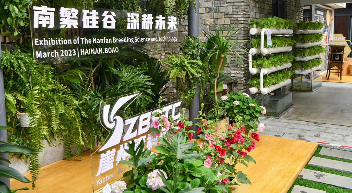 三亞攜南繁果實(shí)、深海利器亮相博鰲亞洲論壇年會