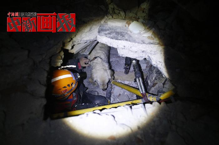 汪汪隊立大功！廢墟中尋找生命之光的搜救犬